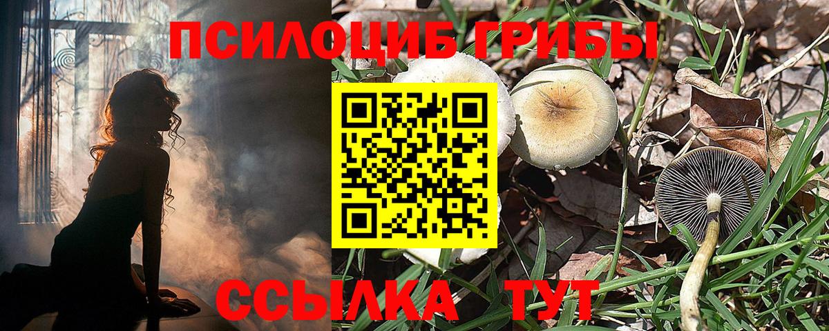 Псилоцибиновые грибы GOLDEN TEACHER Подольск