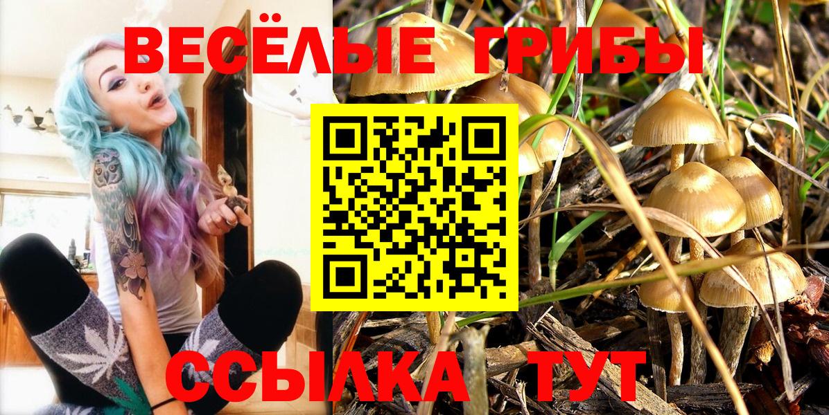 LSD-25 Подольск
